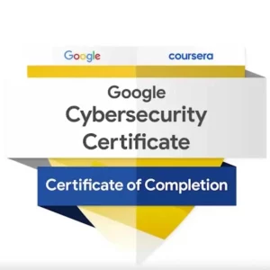 Google cybersecurity professional certificate